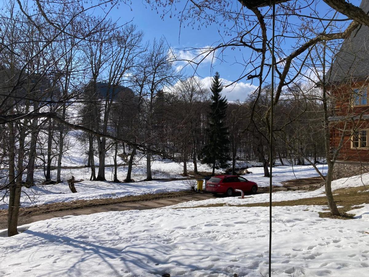 Bartosovice v Orlickych Horach Samota U Hadince酒店 外观 照片